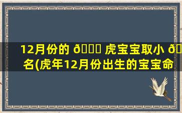 12月份的 🐟 虎宝宝取小 💮 名(虎年12月份出生的宝宝命zui
好)